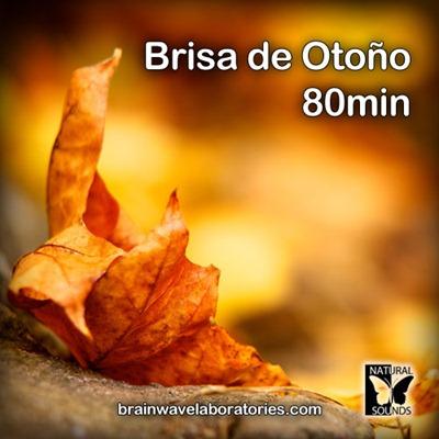 Sonido de brisa de otoo y pjaros