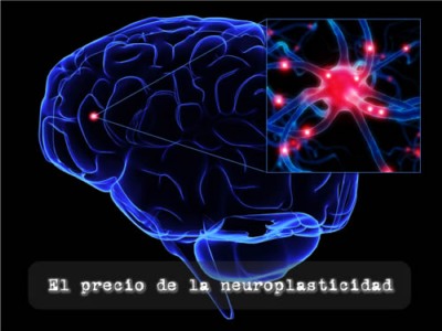 La neuroplasticidad