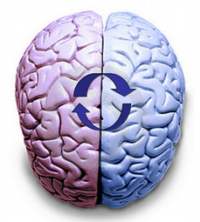 Entrenar los hemisferios cerebrales