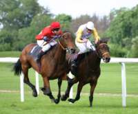 Acertijo el anciano y la carrera de caballos