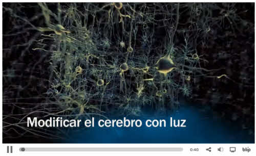 Modificar el cerebro con la luz