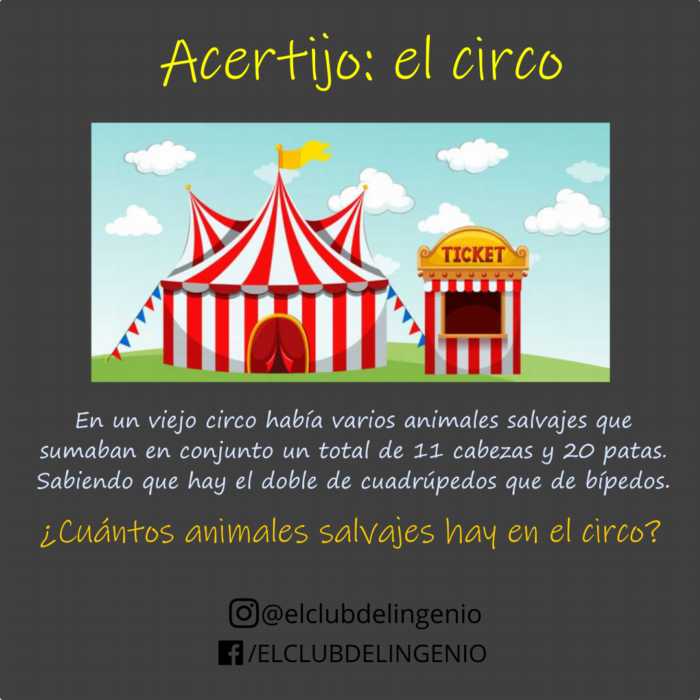 El circo. Un acertijo para hacer gimnasia mental