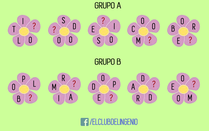 Dos grupos de flores para entrenar tus neuronas