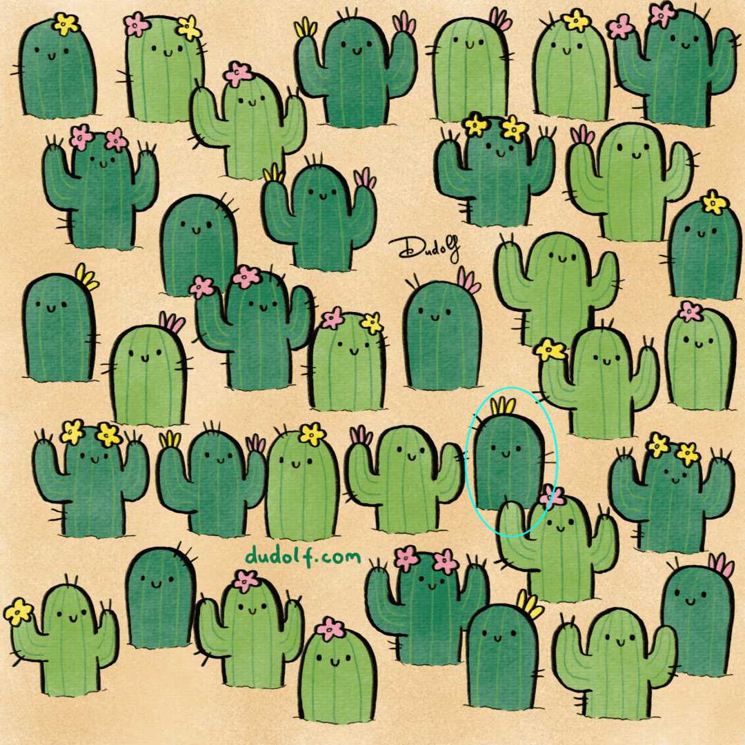 Un cactus único para entrenar la percepción visual