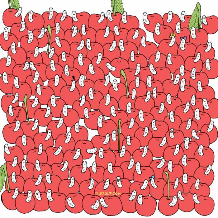 Ricas cerezas pero... todas con gusanos?