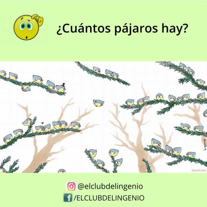 Entrena la percepción visual contando pájaros