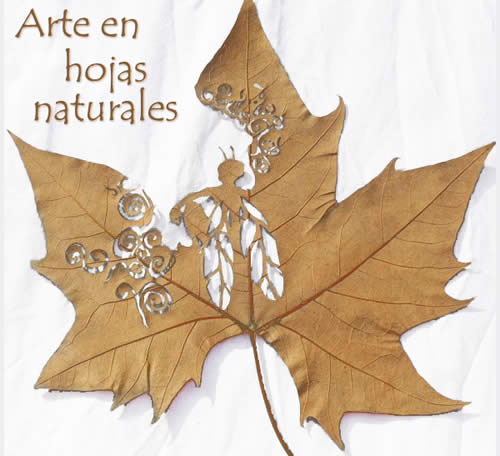 creatividad-con-hojas-naturales