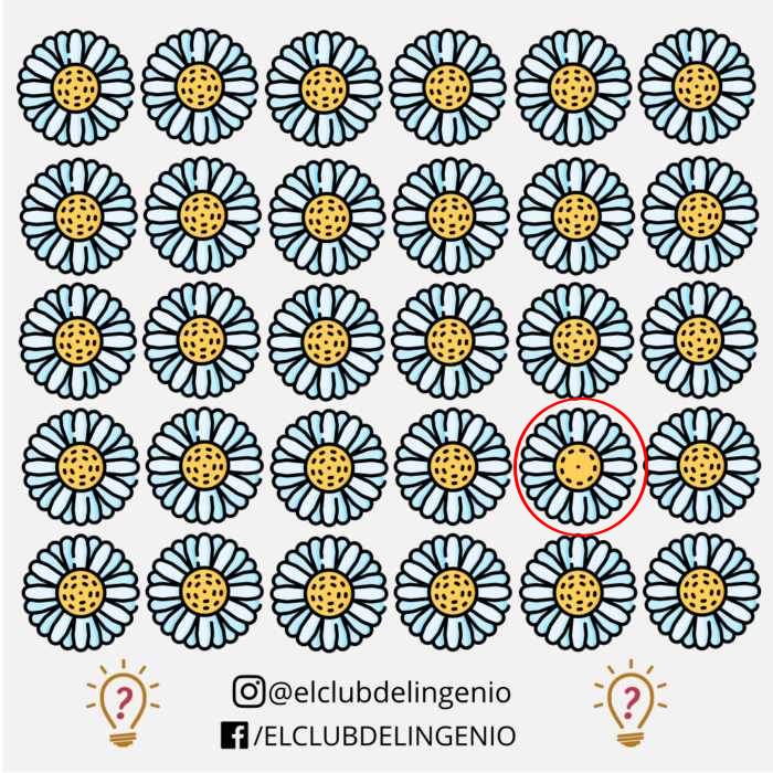 Diviértete y entrena tu memoria visual con este ejercicio