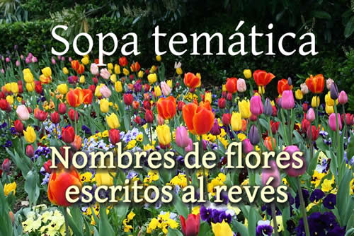 flores-escritas-al-reves