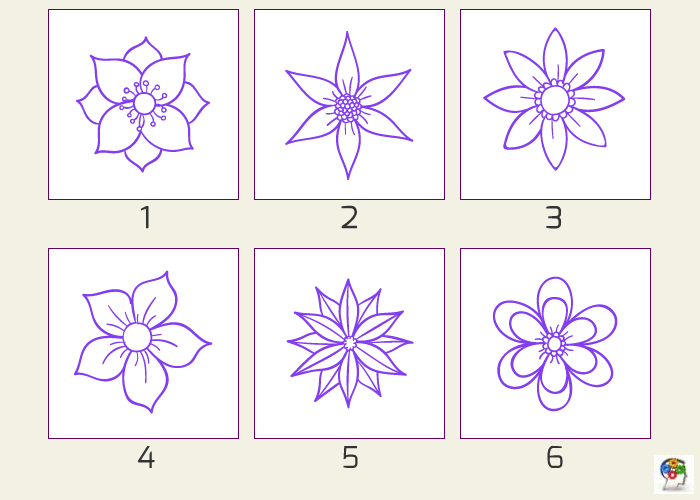 Seis flores y una razón