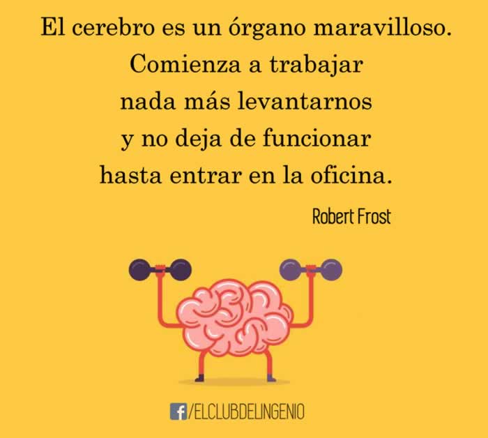 Una interesante frase sobre el cerebro