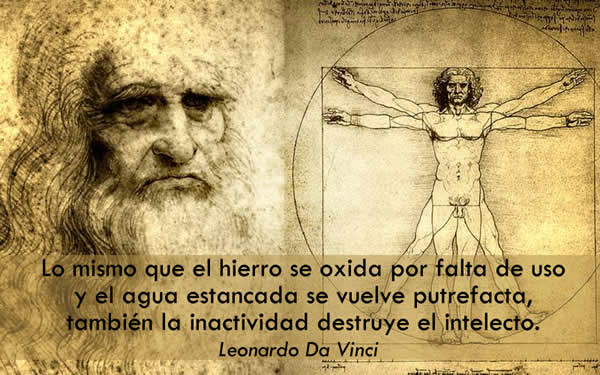 frase-leonardo