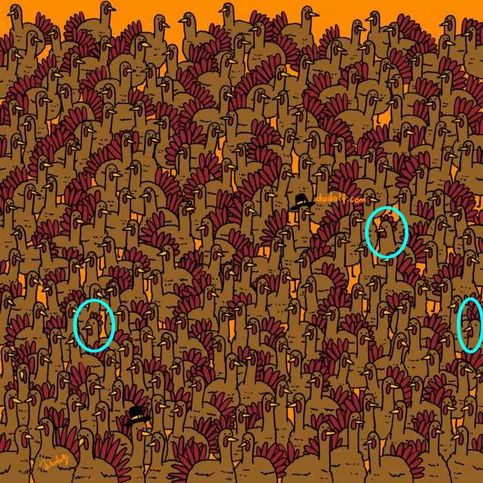 Mejora tu percepción visual encontrando tres gallos entre pavos