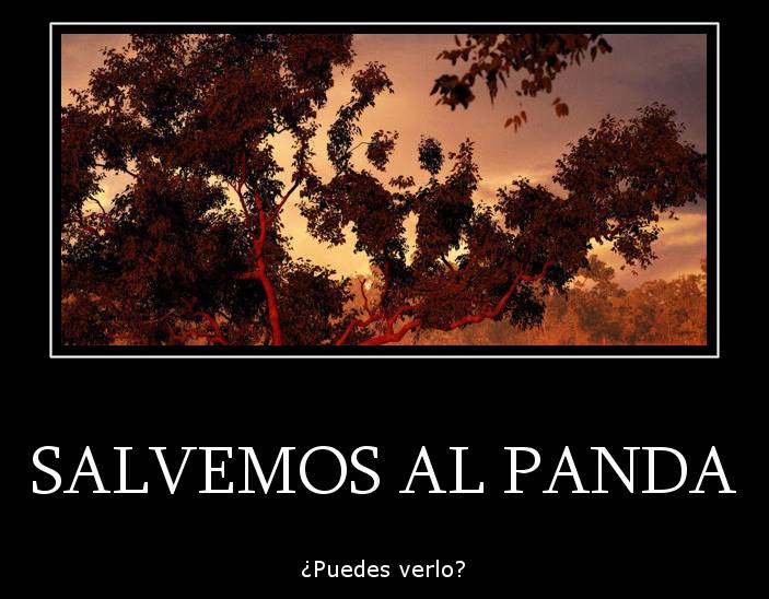 ilusion-visual-panda