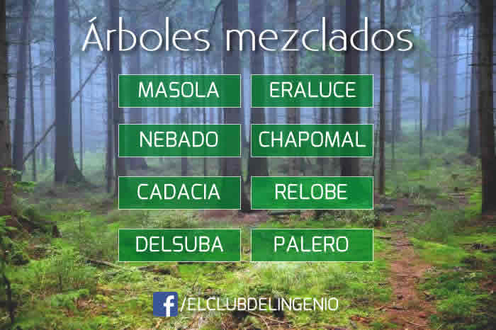 Árboles desordenados