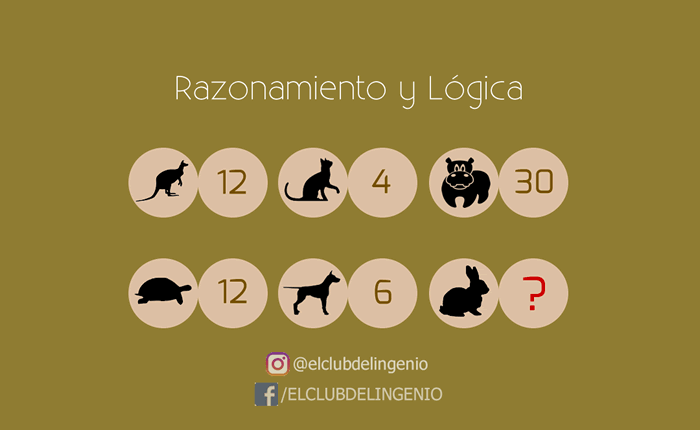 Razona y encuentra la relación entre los números y los animales