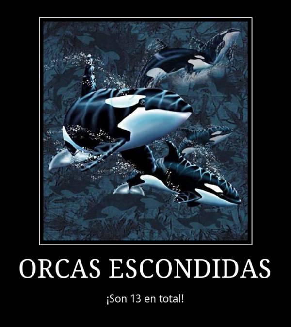 Ilusión visual. Orcas escondidas