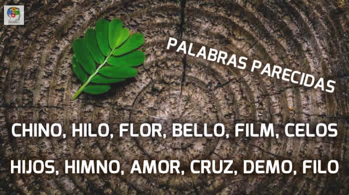 palabras-parecidas