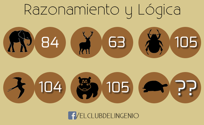 Animales y números para razonar