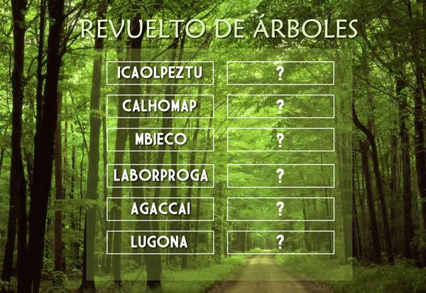 revuelto-de-arboles