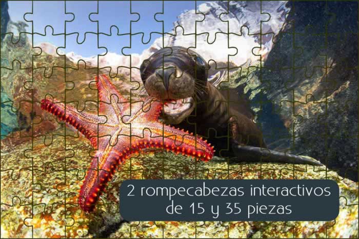 2 rompecabezas interactivos de 15 y 35 piezas: foto submarina