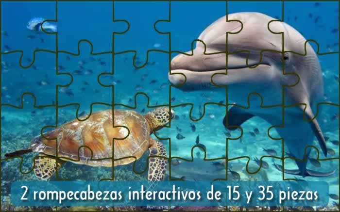 2 rompecabezas interactivos de 15 y 35 piezas: encuentro en el mar