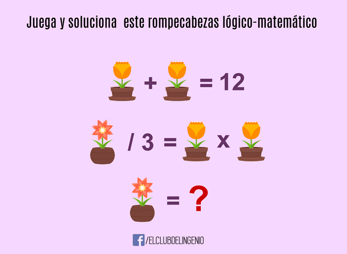 Un nuevo rompecabezas para que te diviertas y agilices tu mente