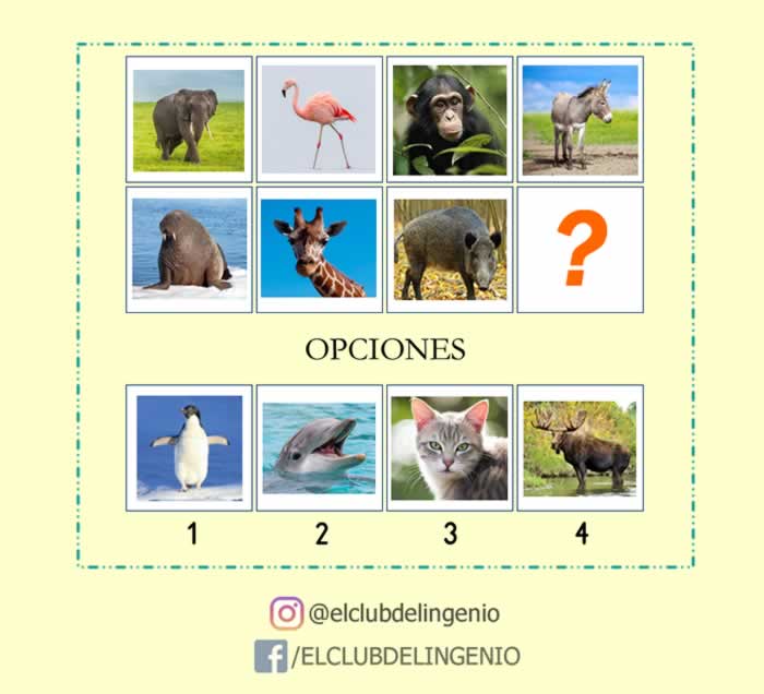 Completa la secuencia lógica de animales