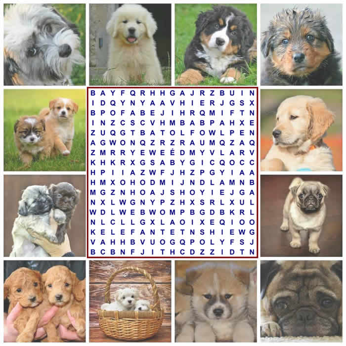 Sopa de letras temática: animales