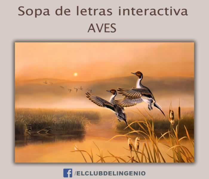 Sopa de letras temática: aves