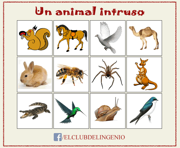 Razona y descubre al animal intruso