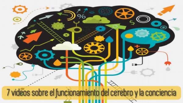 videos-sobre-el-cerebro-y-la-conciencia